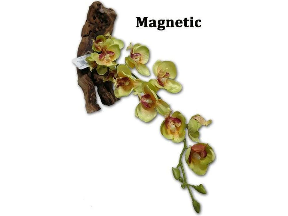 Magnaturals 16" Yellow Orchid