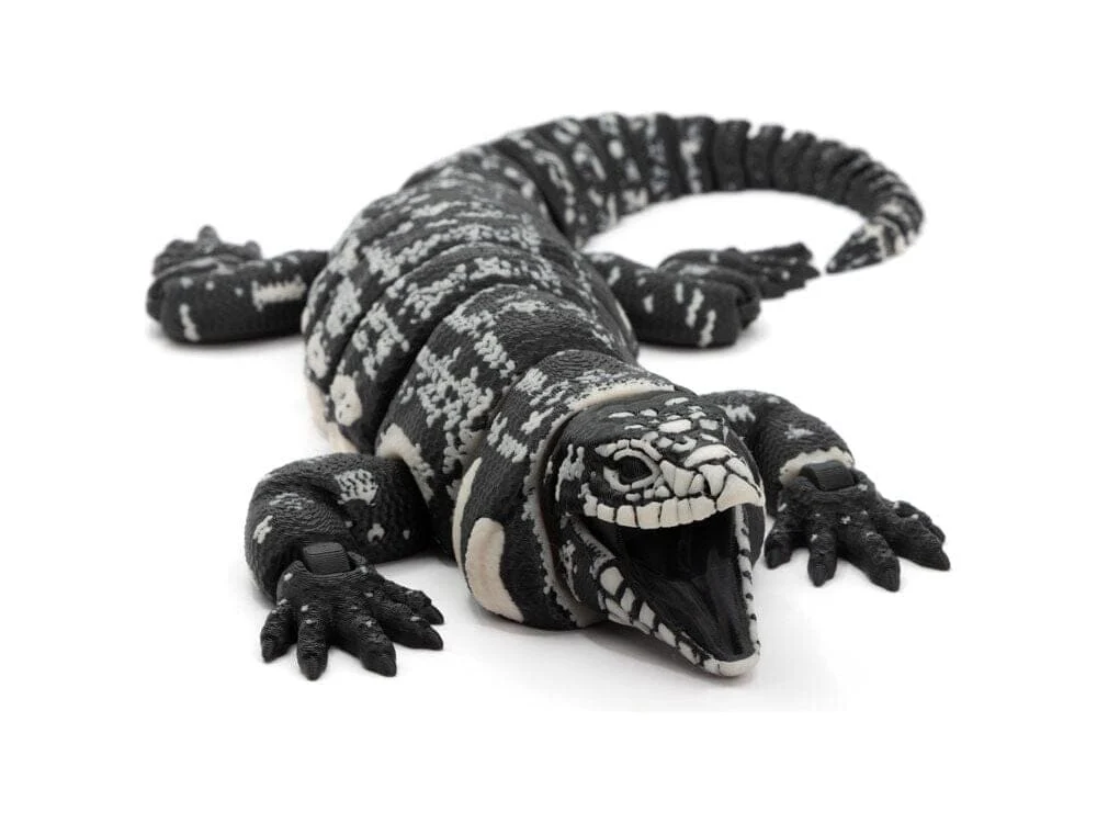 3D Printed Realistic Argentina Black and White Tegu - Large