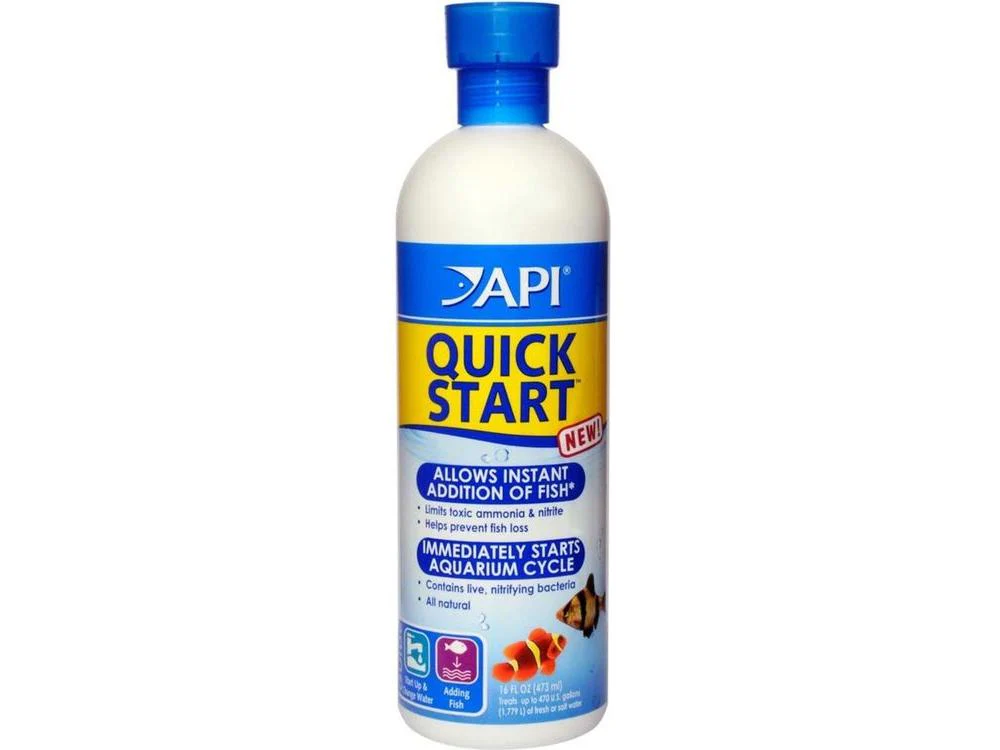 API Quick Start