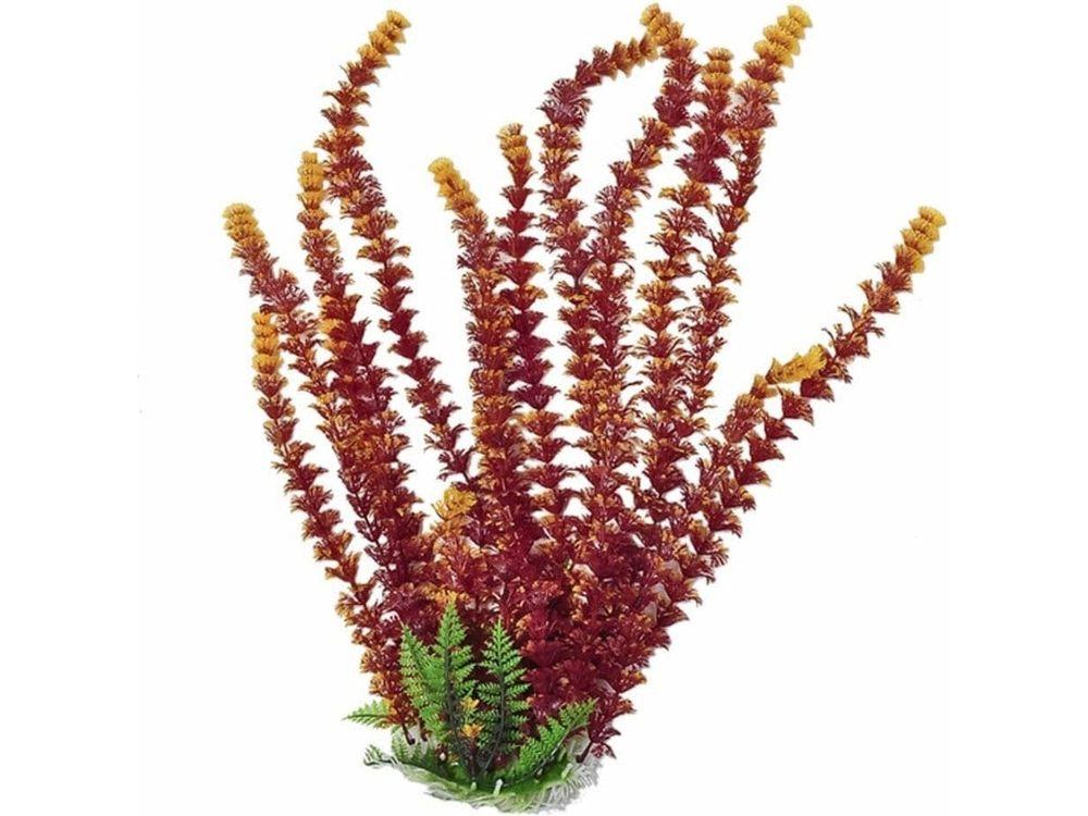 Aquatop Cabomba Aquarium Plant