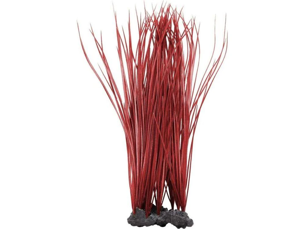 Aquatop Onion Grass Aquarium Plant Red 16 in