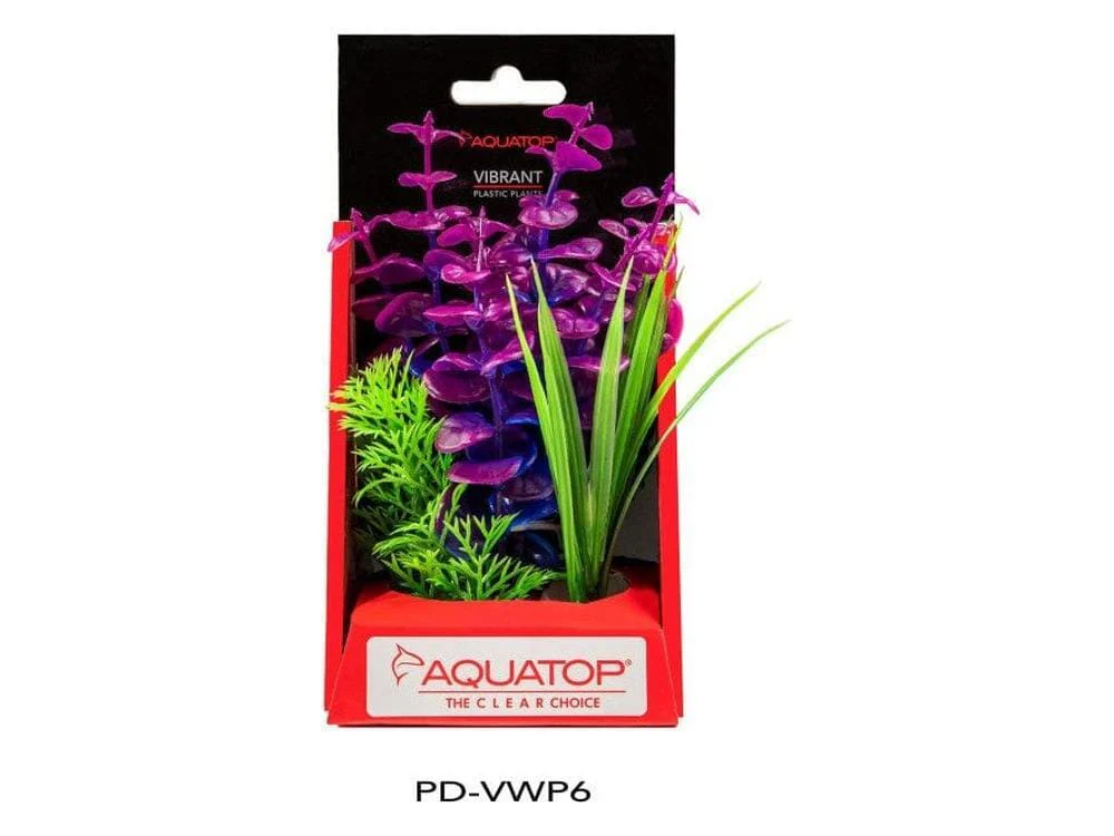 Aquatop Vibrant Wild Plant Purpleberry, 1ea/6 in - Image 2