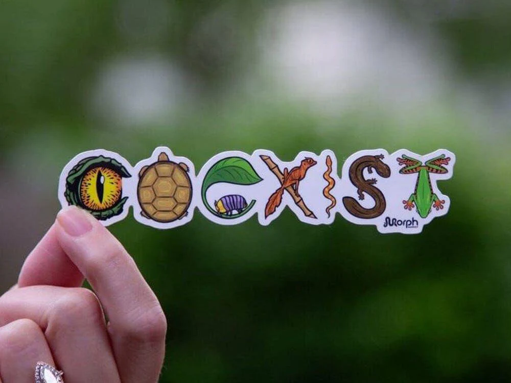 Coexist Sticker (Color)