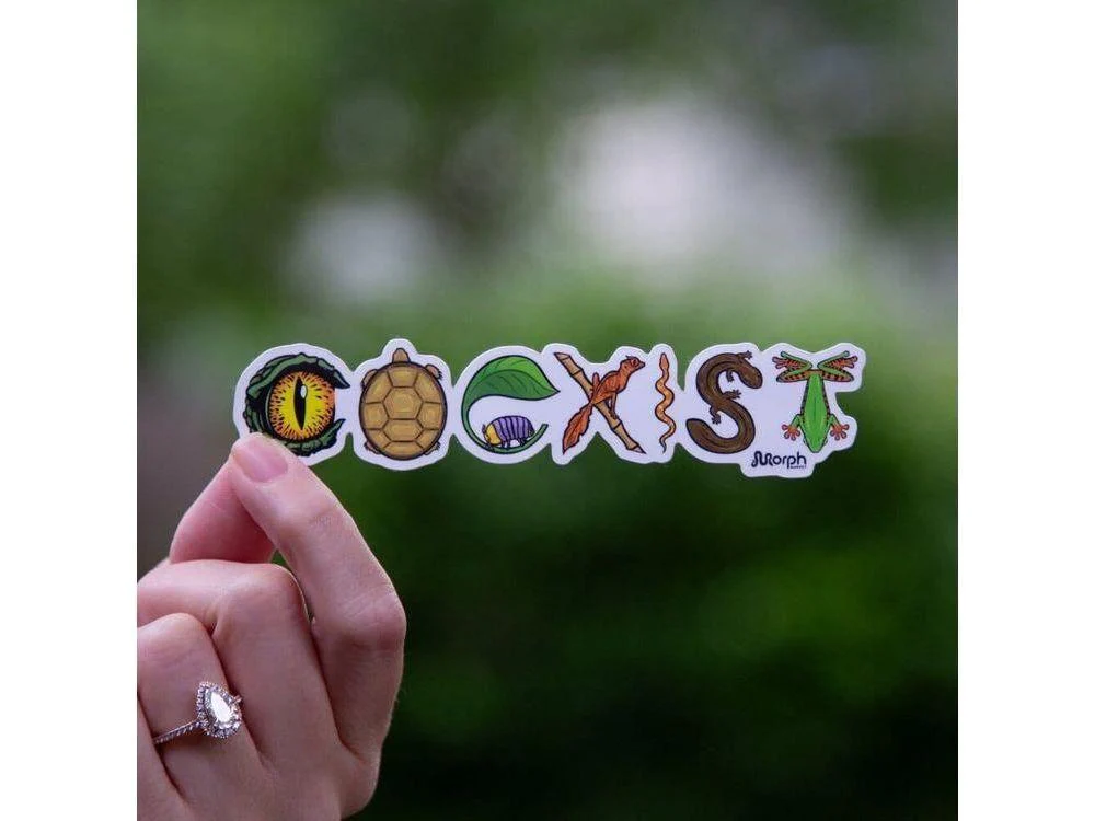 Coexist Sticker (Color) - Image 2