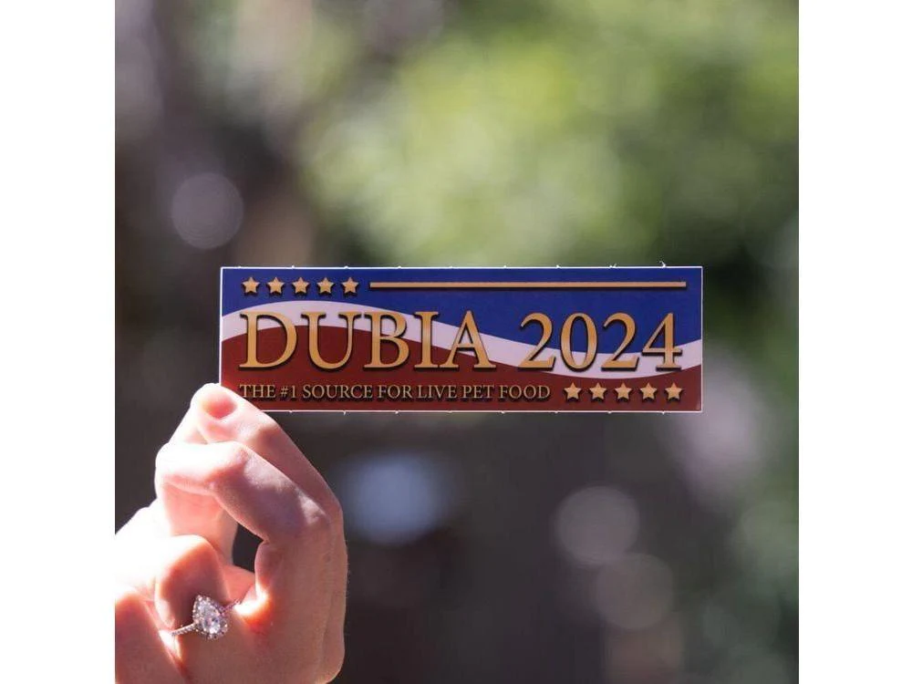 Dubia 2024 Sticker - Image 2