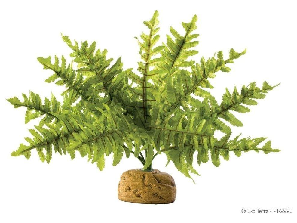 Exo Terra Boston Fern, Small