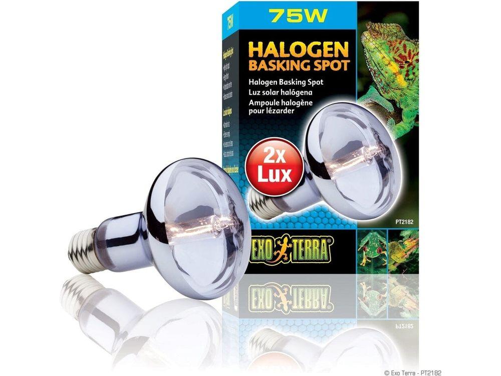 Exo Terra Halogen Basking Spot, 75w