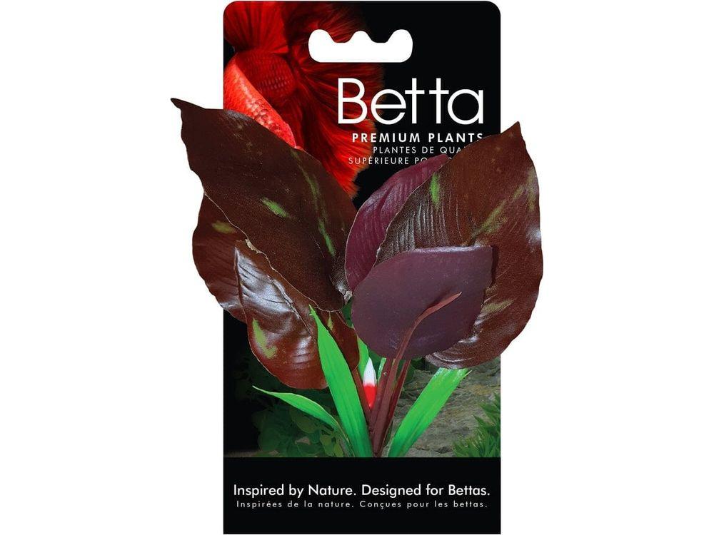 FLUVAL BETTA RED LIZARD PLANT - 15 CM (6 IN)