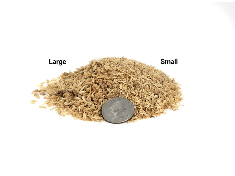 Freeze Dried Mysis Shrimp