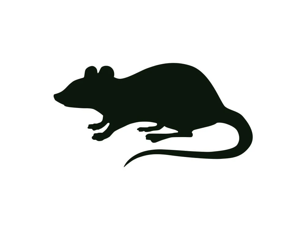 Frozen Rodents FREE SHIPPING