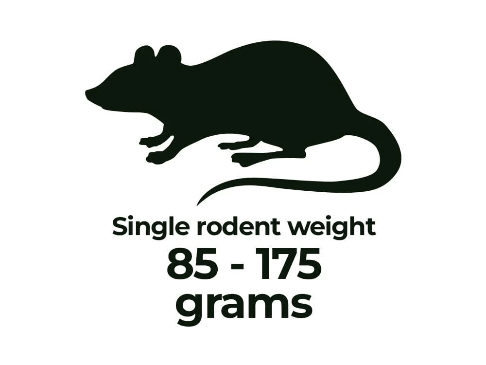 Frozen Rodents FREE SHIPPING - Image 11
