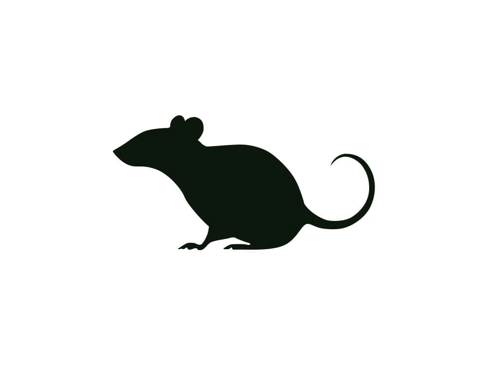 Frozen Rodents FREE SHIPPING - Image 12