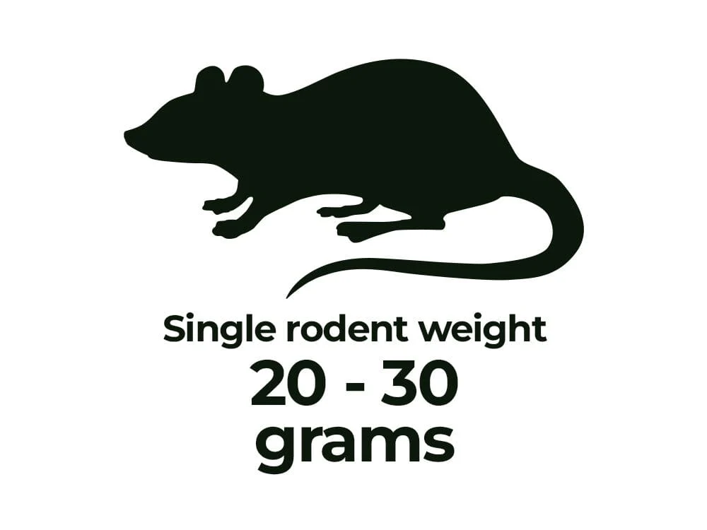 Frozen Rodents FREE SHIPPING - Image 14