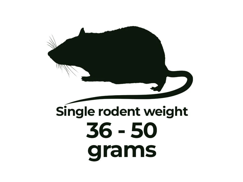 Frozen Rodents FREE SHIPPING - Image 17