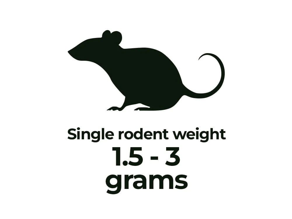 Frozen Rodents FREE SHIPPING - Image 2