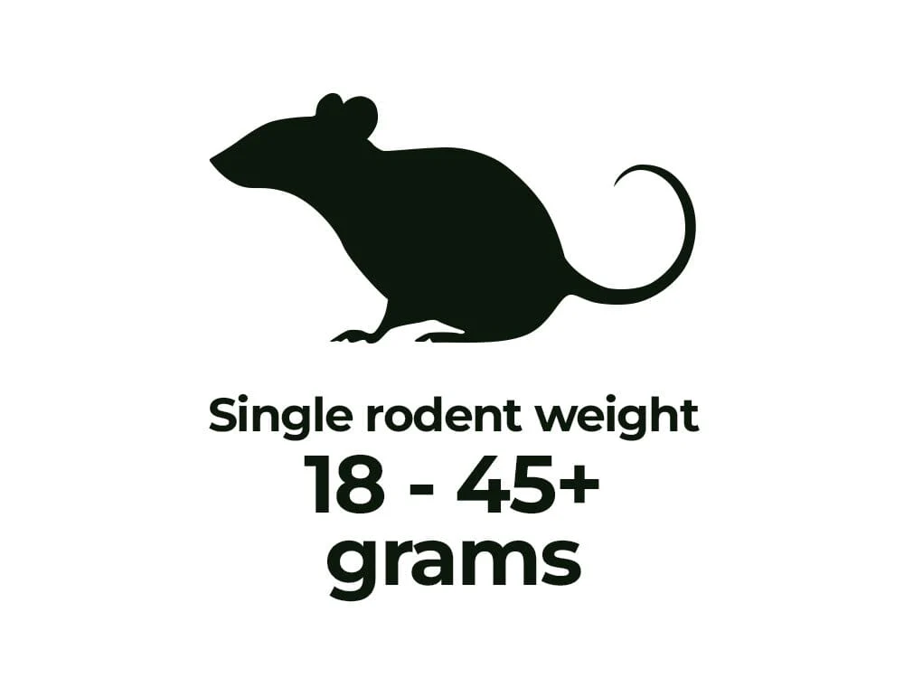 Frozen Rodents FREE SHIPPING - Image 3