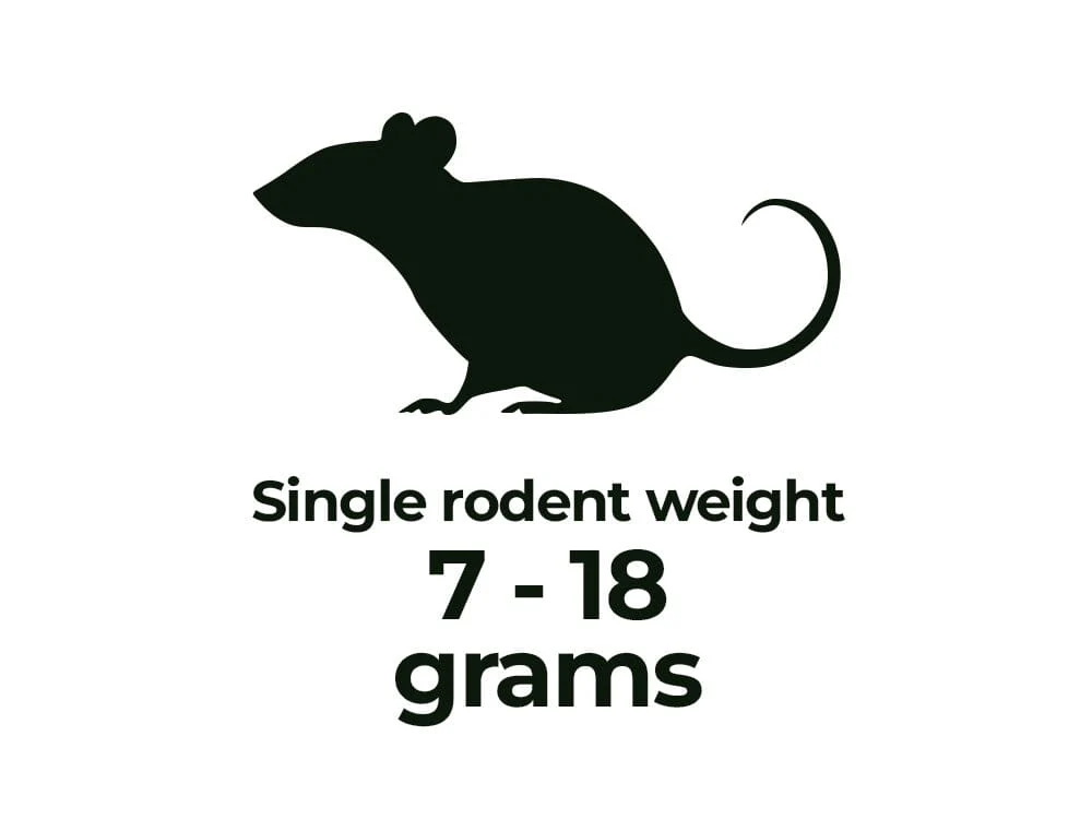 Frozen Rodents FREE SHIPPING - Image 5
