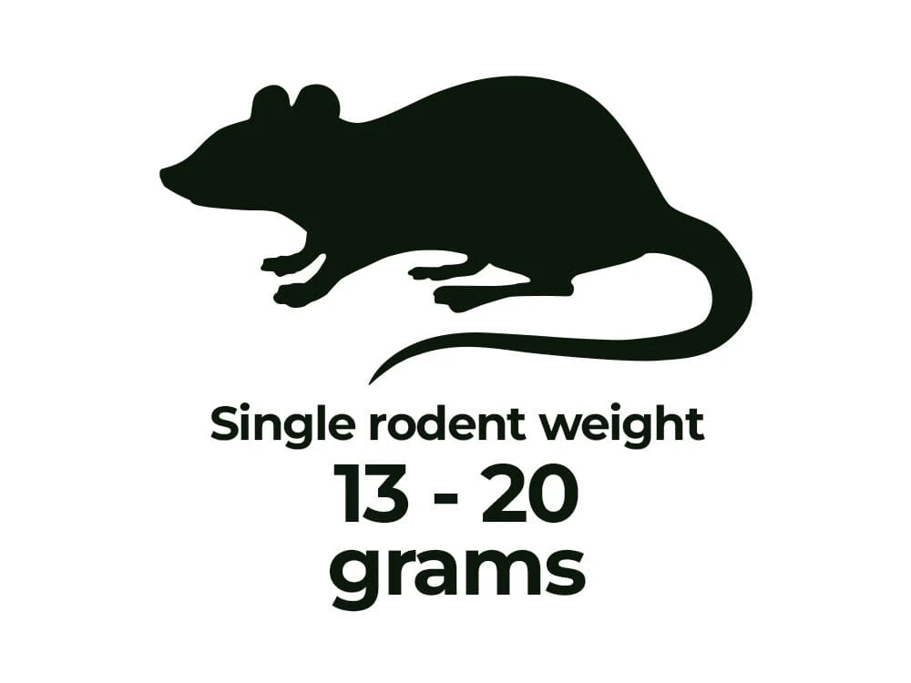 Frozen Rodents FREE SHIPPING - Image 6