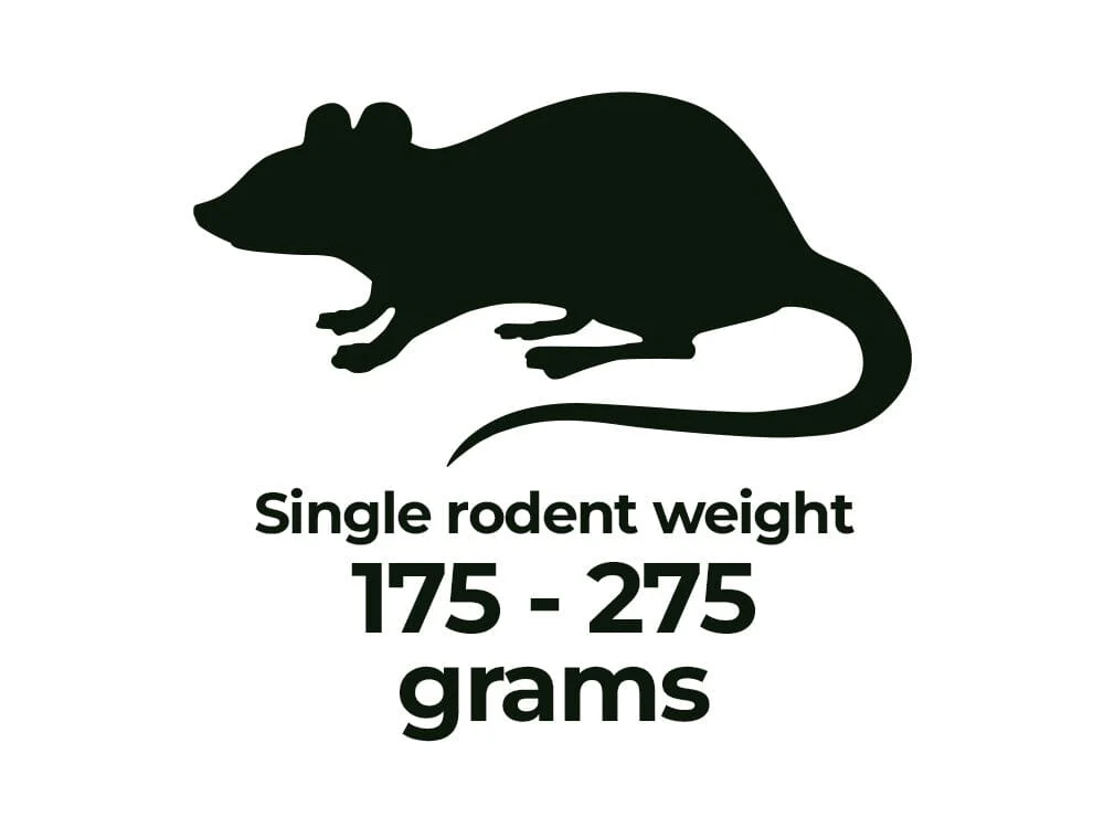 Frozen Rodents FREE SHIPPING - Image 7
