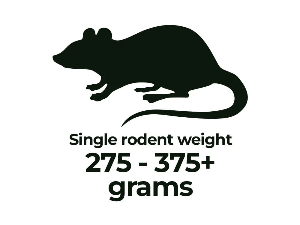 Frozen Rodents FREE SHIPPING - Image 8