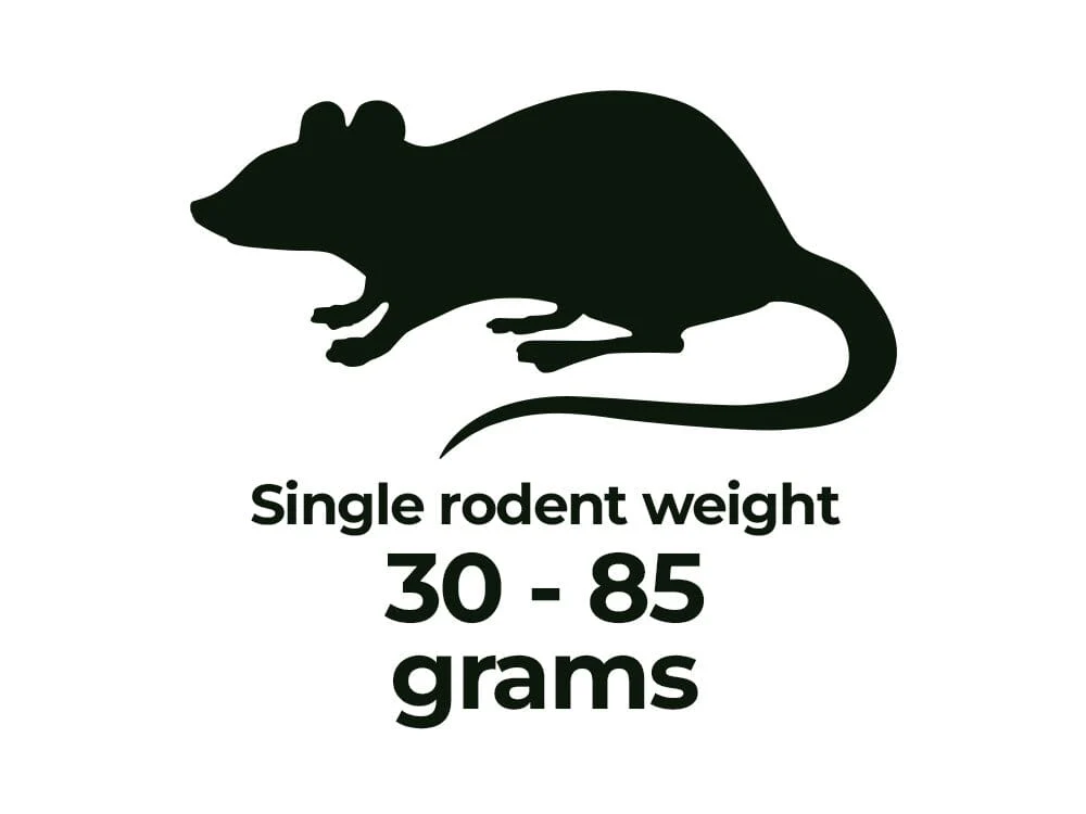 Frozen Rodents FREE SHIPPING - Image 9