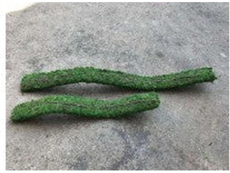 Galapagos Flexible Bridge, 24" (Fresh Green)