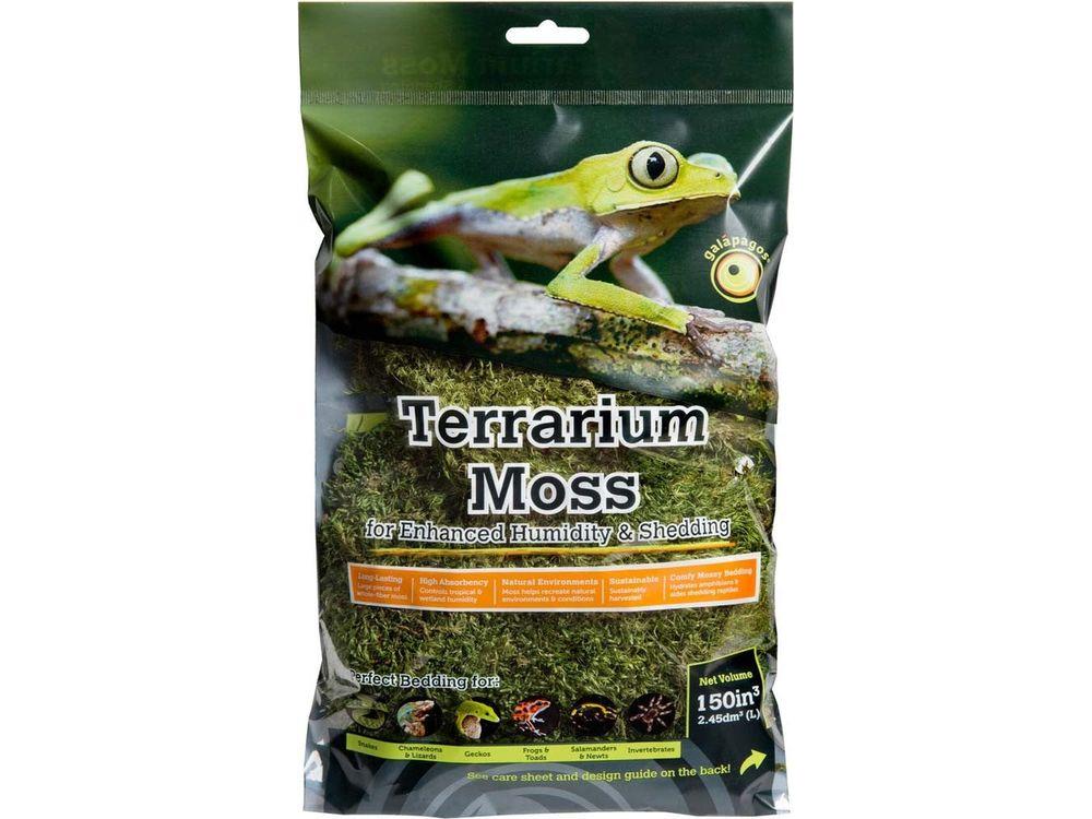 Galapagos Pillow Moss, 150 in³