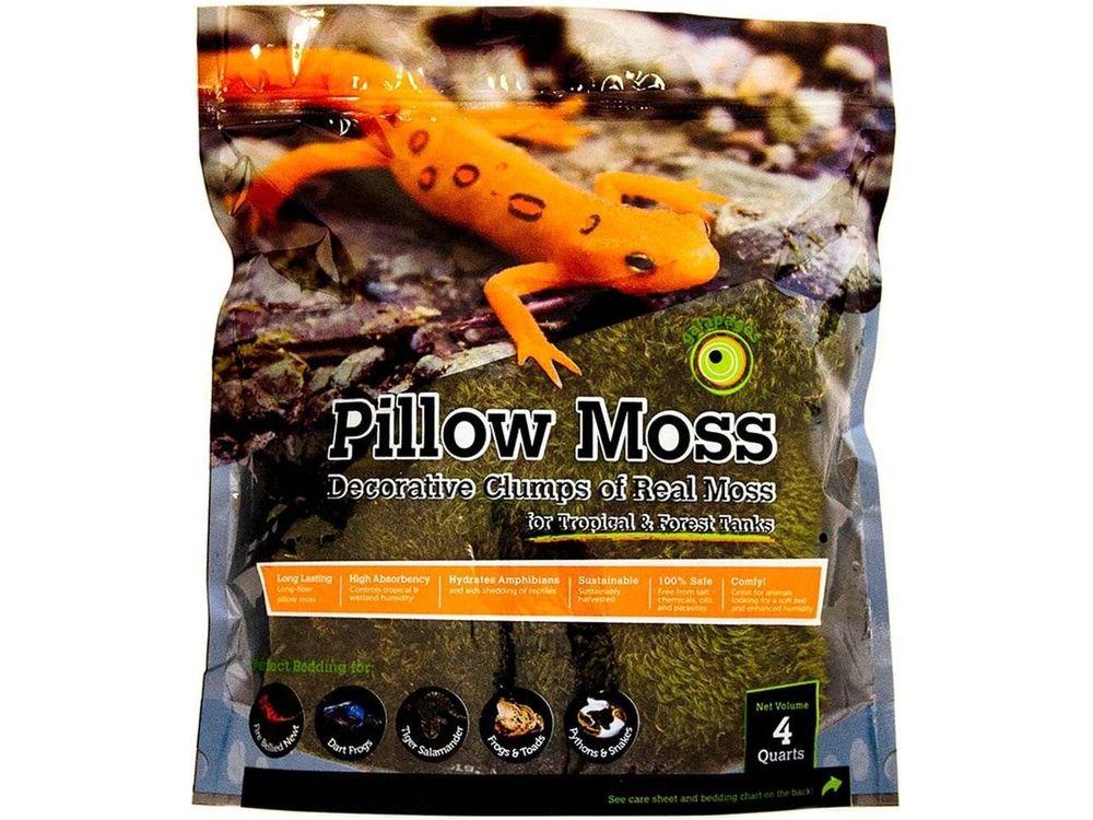 Galapagos Pillow Moss, 4qt