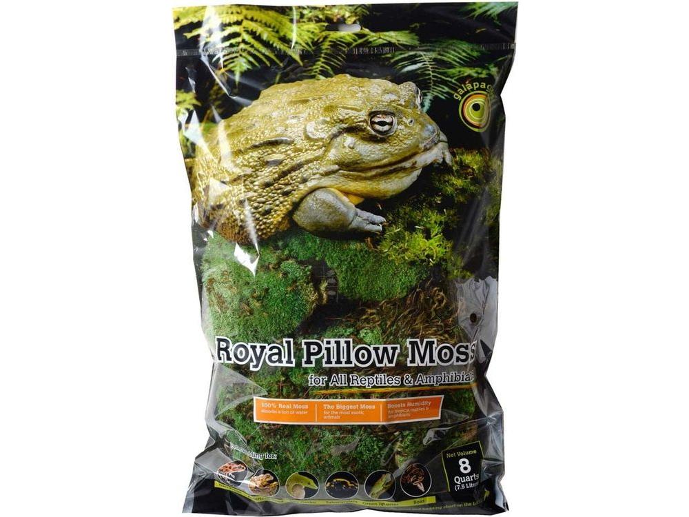 Galapagos Royal Pillow Moss, 8qt