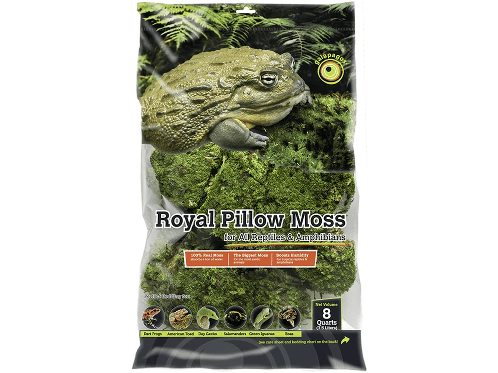 Galapagos Royal Pillow Moss, 150 in³
