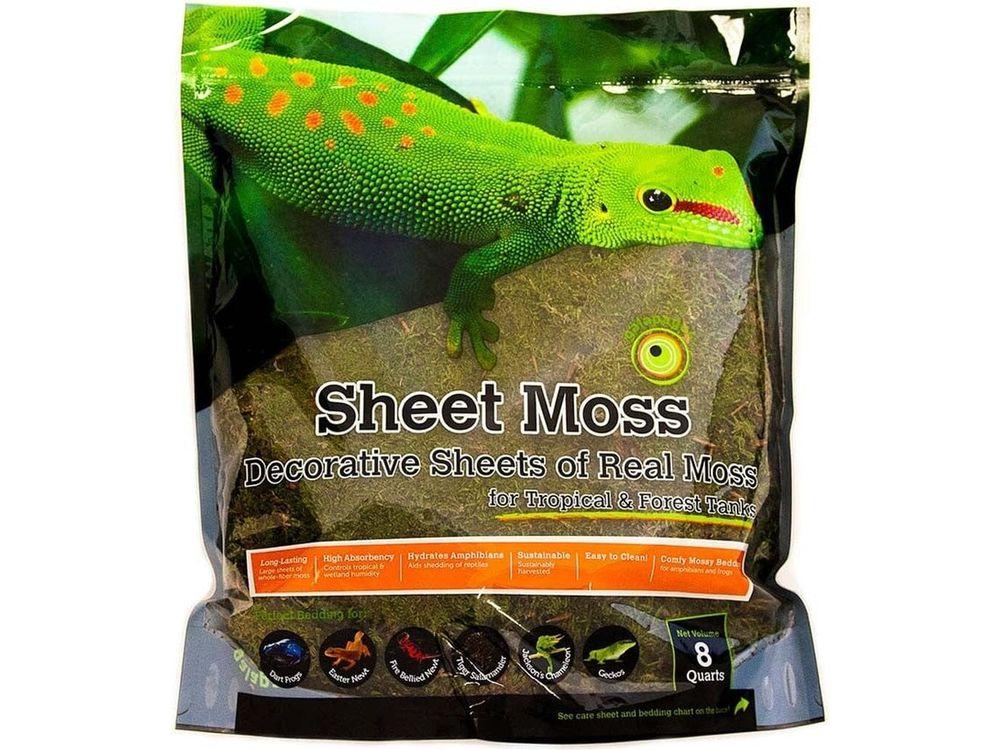 Galapagos Sheet Moss, 8qt