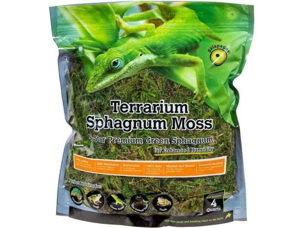 Galapagos Green Sphagnum Moss, 4qt