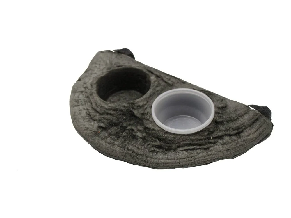 Magnaturals Gecko Ledge - Granite w/ two cup