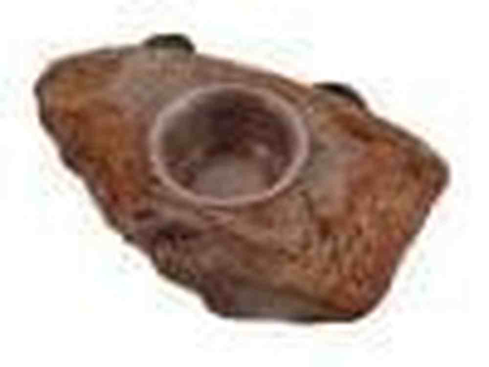Magnaturals Gecko Ledge - Mojave w/ one cup
