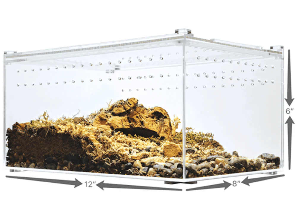 Herpcult Acrylic Enclosure Large-Flat Clear Top 12"x8"x6"