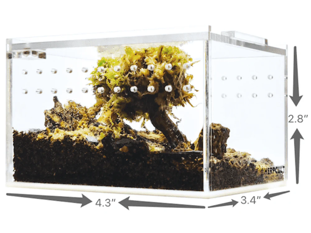 Herpcult Acrylic Enclosure  Mini-Flat  4.3"x3.4"x2.8"