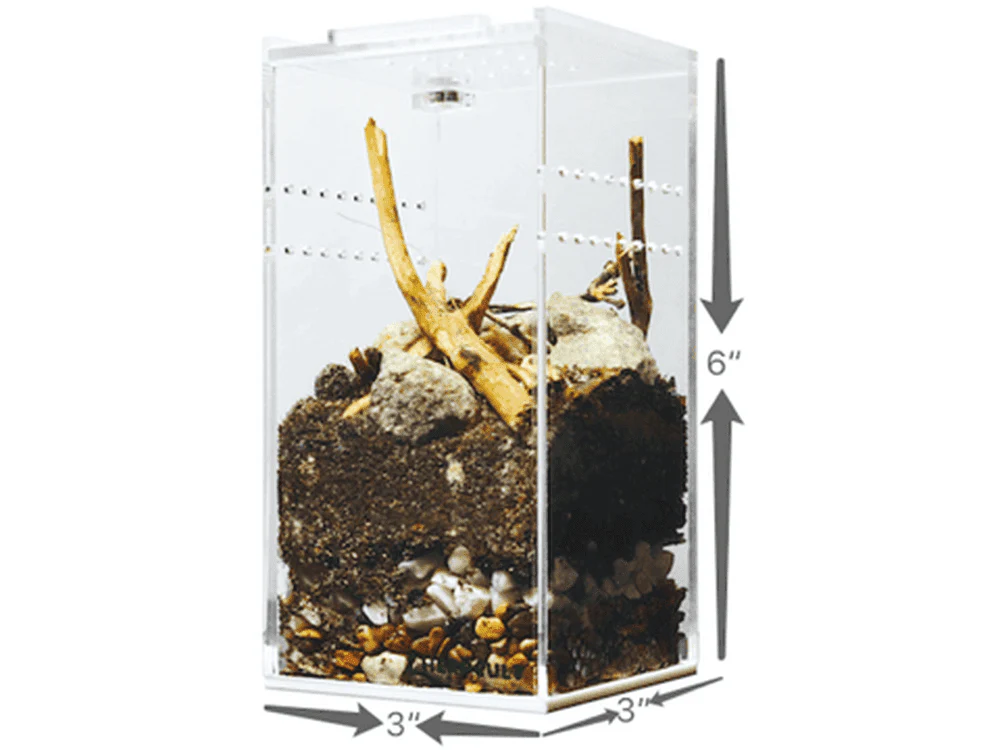 Herpcult Acrylic Enclosure Mini-Tall   3"x3"x6"