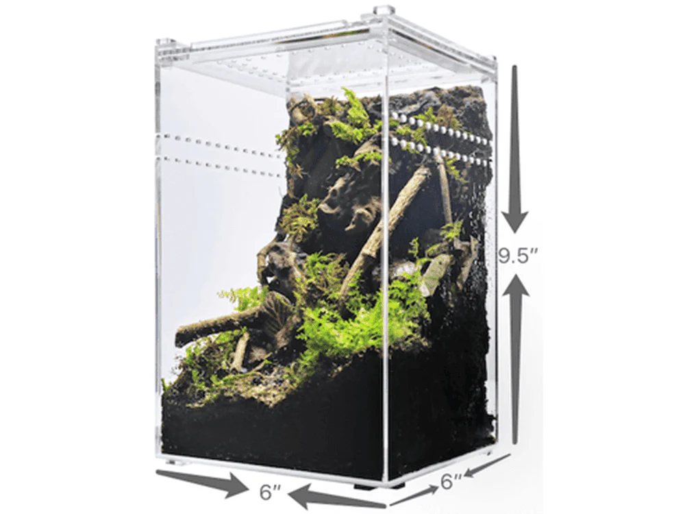 Herpcult Acrylic Enclosure Small-Tall   6"x6"x9.5"