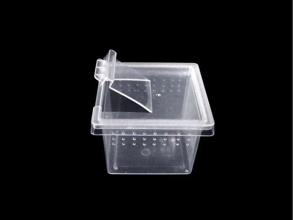 Herpcult X-Small Breeding Box