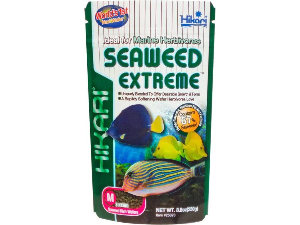 Hikari Seaweed Extreme Medium Wafer Fish Food 8.8 oz