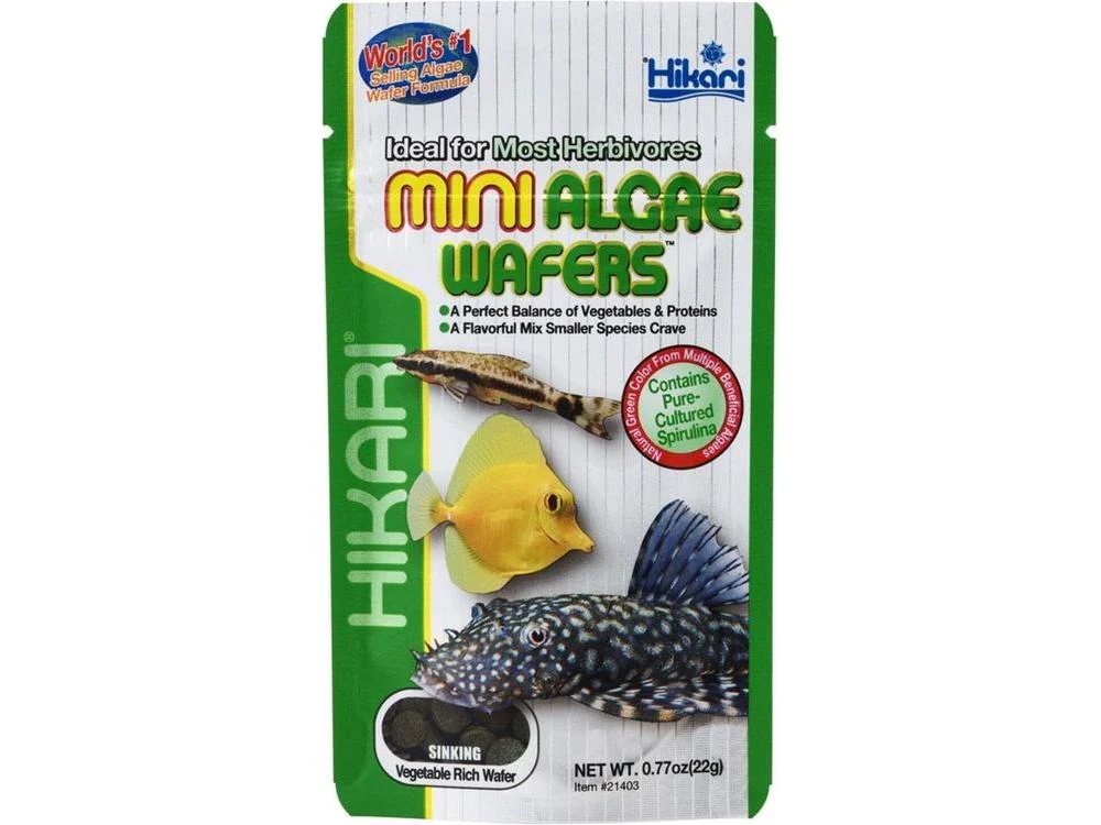 Hikari Mini Algae Wafers Sinking Wafer Fish Food 0.77 oz