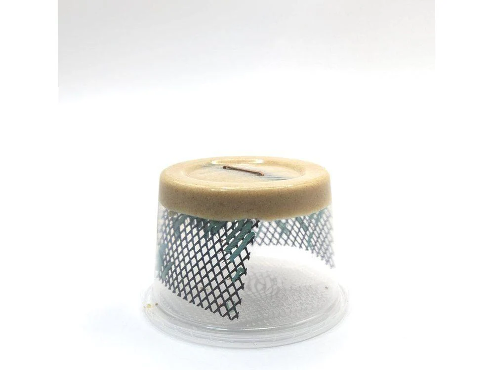 Hornworms - Image 10