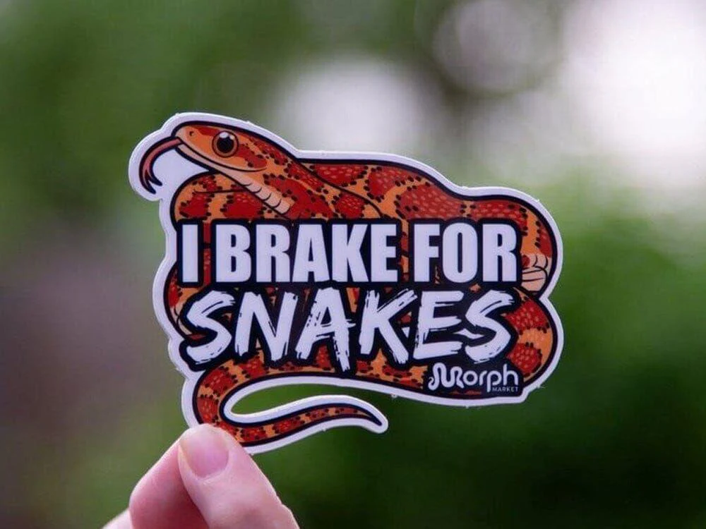 I Brake For Snakes Sticker