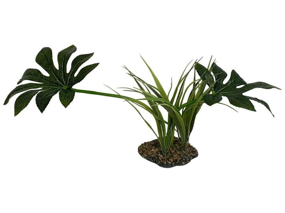Komodo Jungle Canopy Plant 1ea/10 in - Image 2