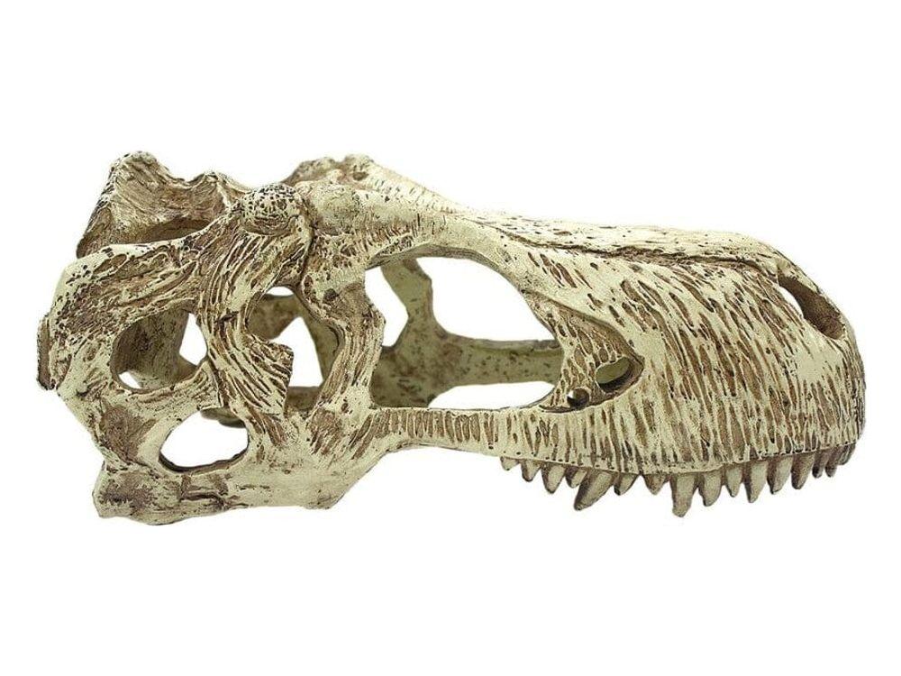 Komodo T-Rex Skull Reptile Hideout Tan XL