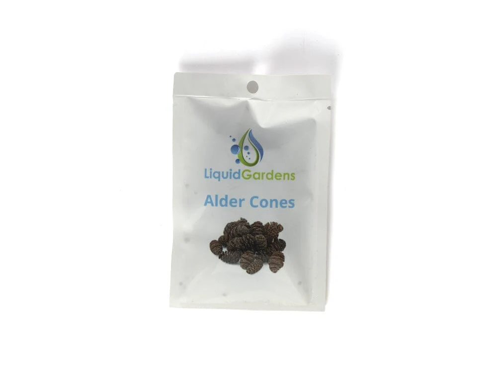 LG Alder Cones 25ct - Image 2