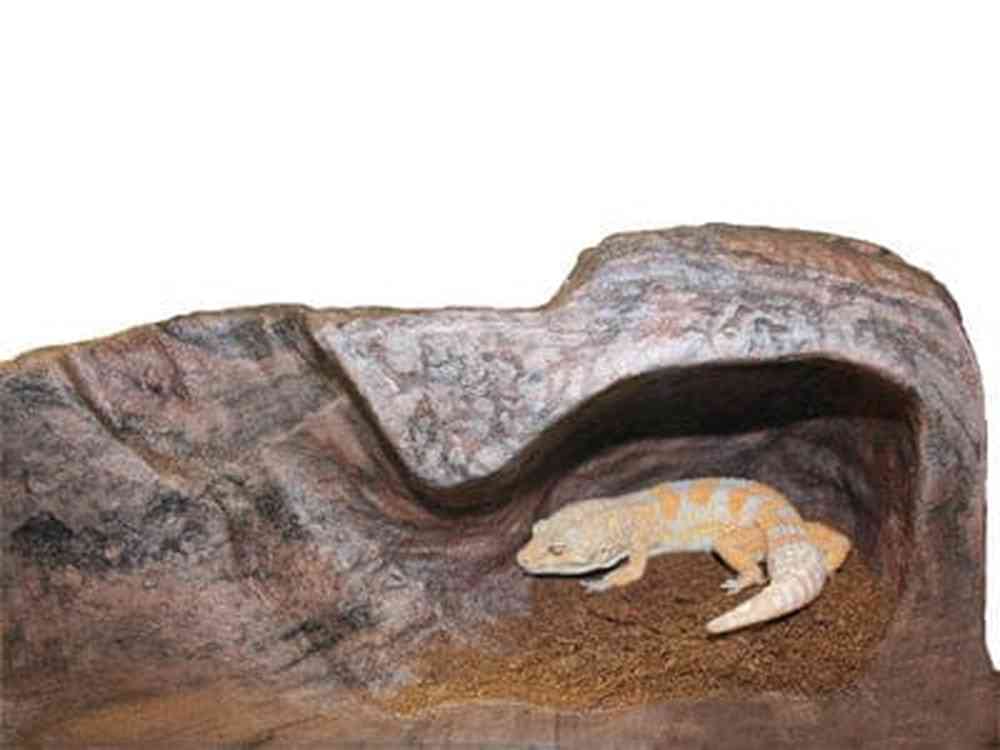 Magnaturals Lg Burrow - Earth