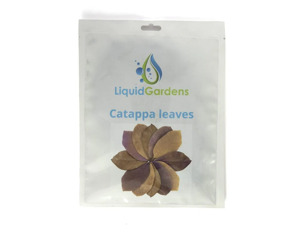 LG Catappa Leaves 10ct - Image 2