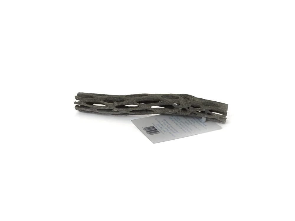 LG Cholla Wood 3in - Image 2