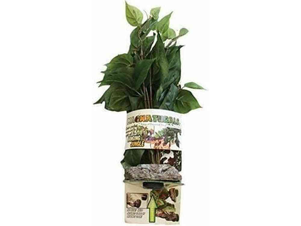 Magnaturals Lg Hanging Jungle